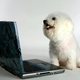 Image for article titled Okay, So Maybe Facebook Won't Completely Destroy Your Soul